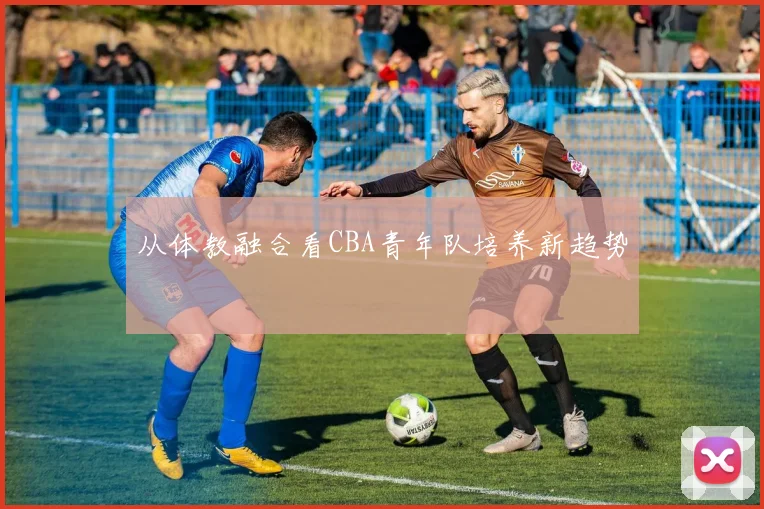 从体教融合看CBA青年队培养新趋势