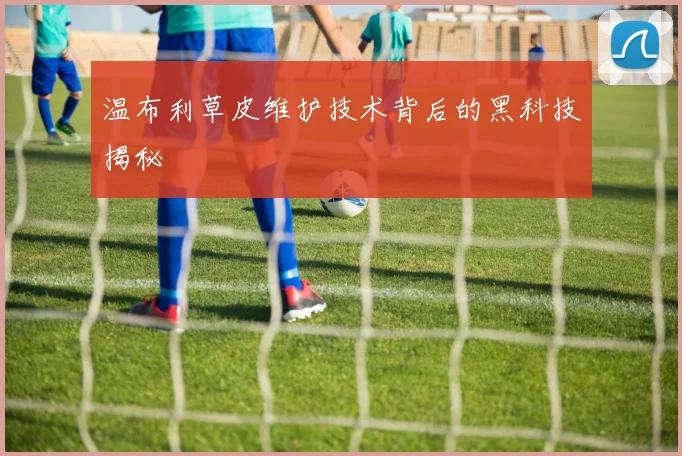 温布利草皮维护技术背后的黑科技揭秘