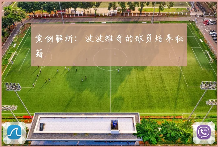 案例解析：波波维奇的球员培养秘籍