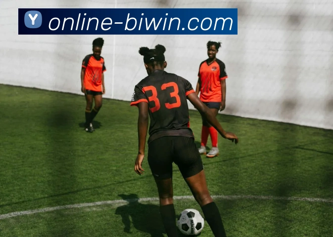 App Interface Preview